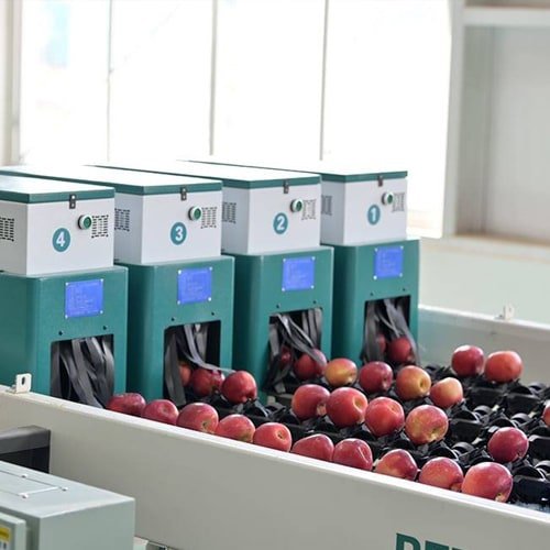 Sorting & Grading Technology